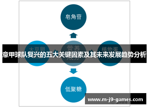 意甲球队复兴的五大关键因素及其未来发展趋势分析