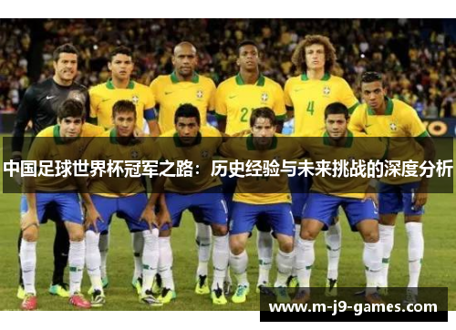 中国足球世界杯冠军之路：历史经验与未来挑战的深度分析