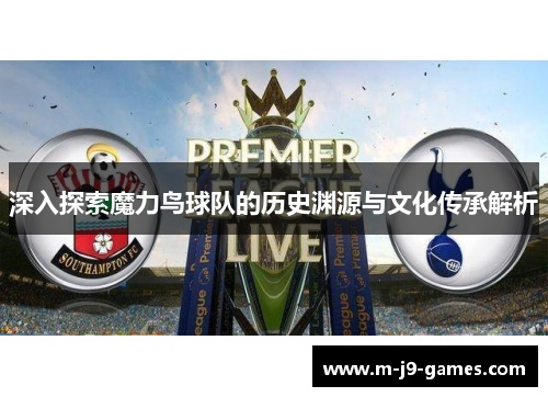 深入探索魔力鸟球队的历史渊源与文化传承解析