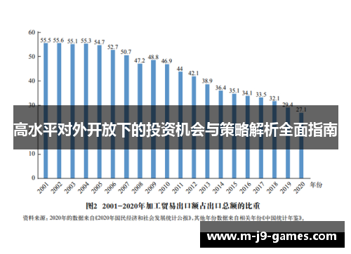 高水平对外开放下的投资机会与策略解析全面指南